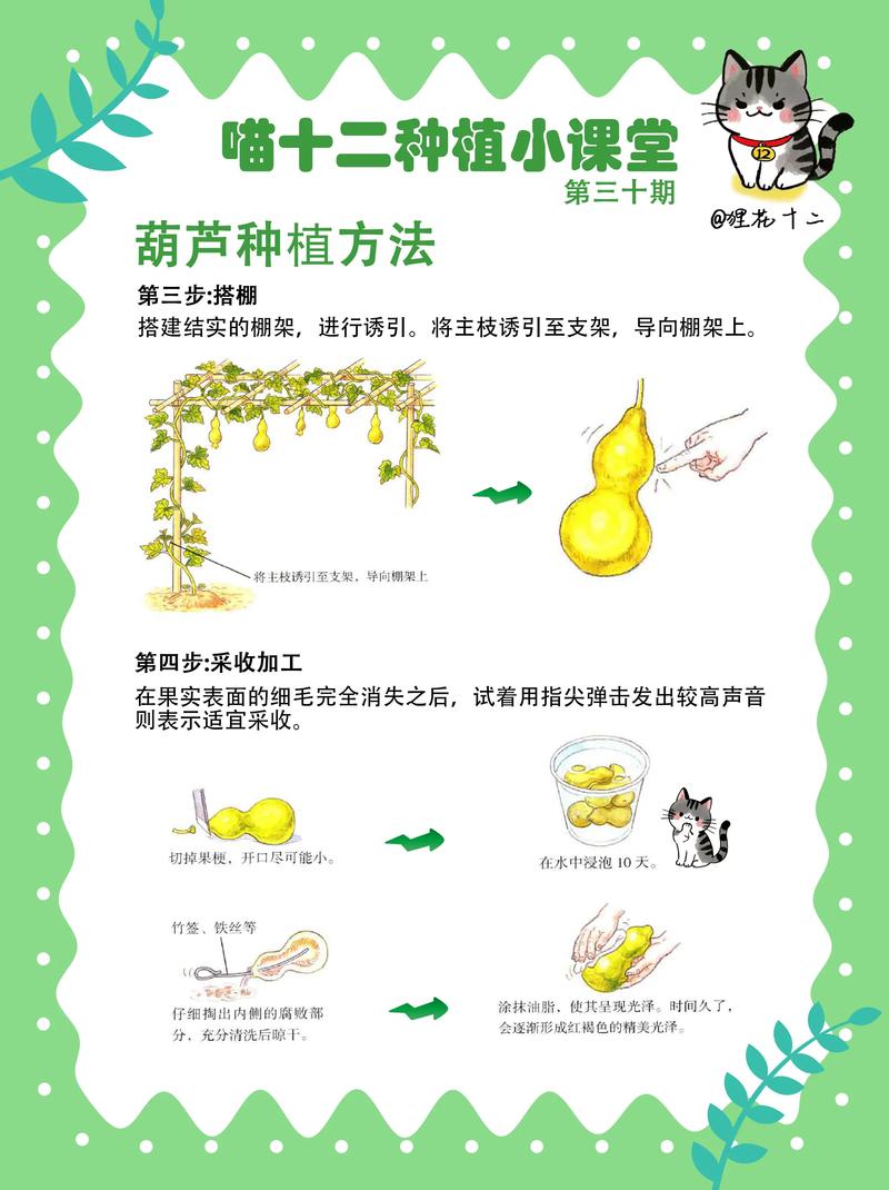 葫芦农场人星_qq农场葫芦_葫芦农场TXT下载