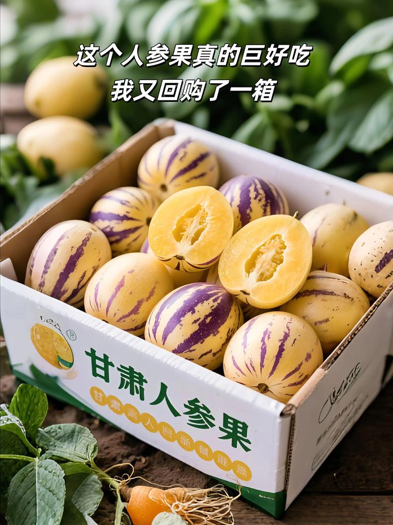 超级人参果多少钱_百度一下人参果_人参果非常特殊