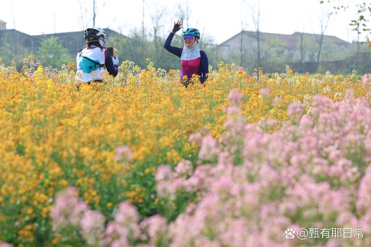 春游：邂逅春日美好，领略大自然的如画风光与生机活力