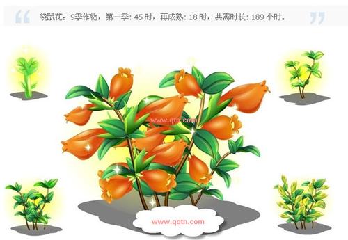 qq农场新种子_农场点卷种子在哪买_农场种子精华哪些种子