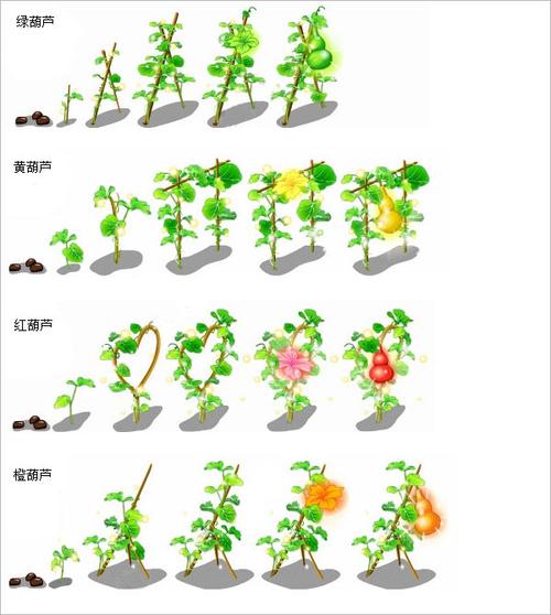葫芦农场TXT下载_qq农场葫芦_葫芦农场人星