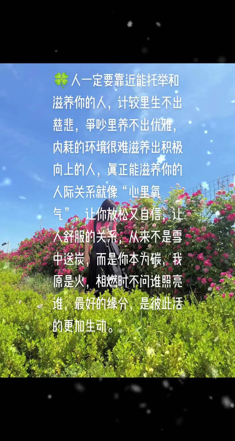 薇拉火语：传递能量与暖意，在生活情感中作用非凡