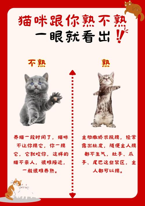 漫画猫又全集免费阅读_猫又漫画_漫画猫又讲了什么