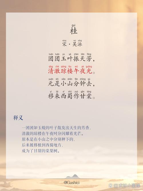 桂树旁的王子：心怀纯粹和善，尽显生活热爱与活力