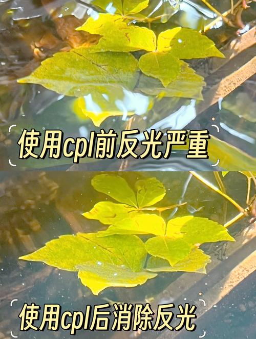 cpl肯高_cpl偏振镜_cpl