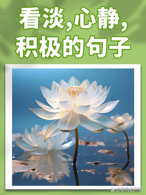 淡的意思与什么字有关_淡的意思_淡然是什么意思