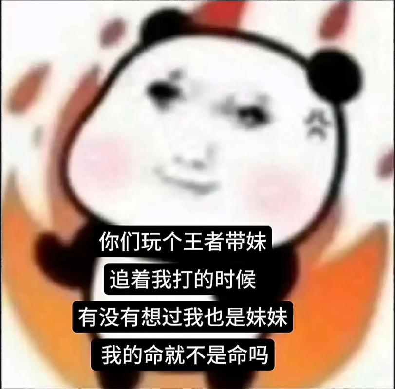 昔日王者因失败失位，今怀决心信心重现，欲报复雪耻