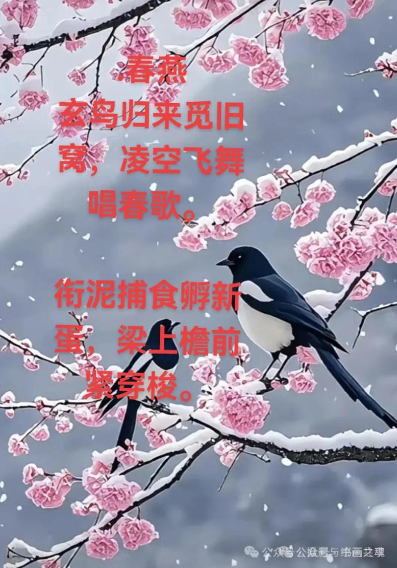 有情燕作者_有情燕_有情燕萧人凤