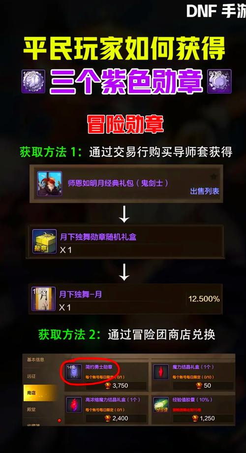 dnf徽章会覆盖吗_dnf徽章能打在什么部位_dnf里的徽章怎么用