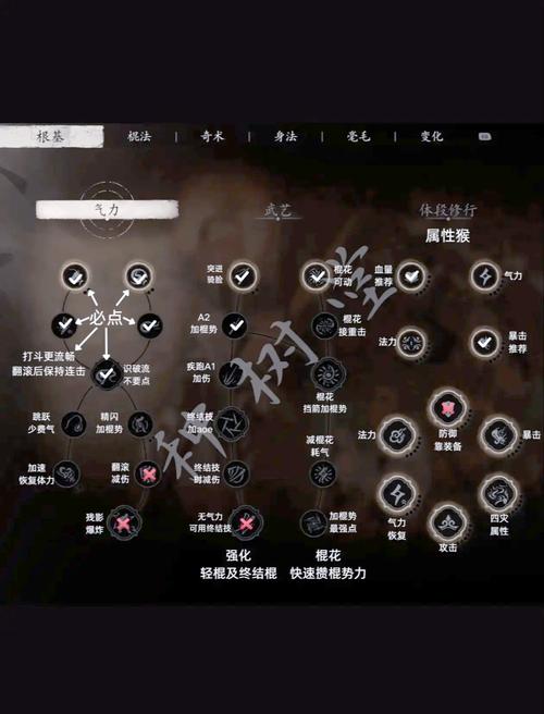 斗战神灵猴前期加点_斗战神灵猴带什么灵兽_斗战神灵猴输出手法