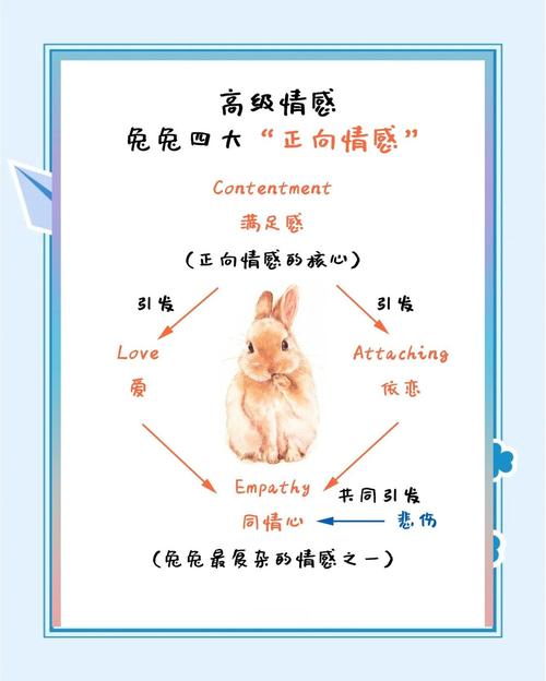 兔斯基表情gif_兔斯基的表情_兔斯基表情包