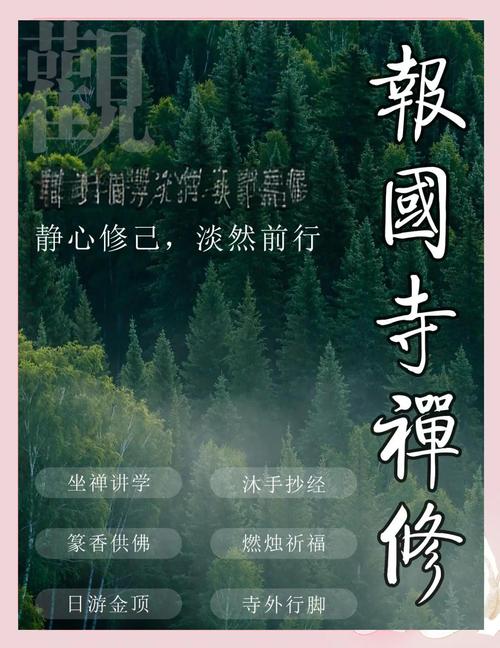 峨眉派的九阴真经_九阴真经峨眉奇遇_九阴真经峨眉内应在哪