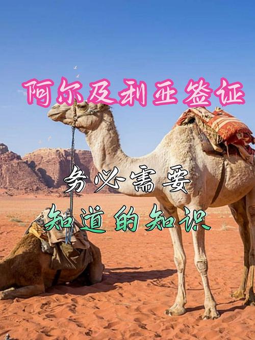 雨燕子激活码_小燕子的激活码_雨燕子激活码免费领取