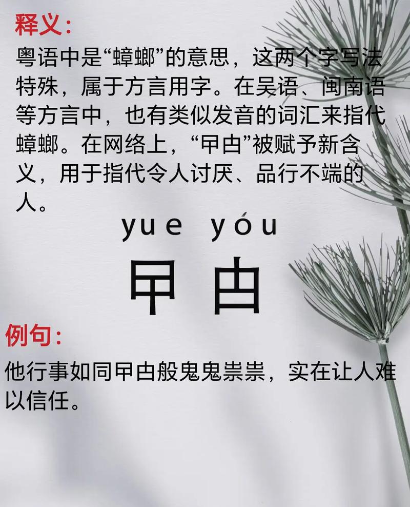 粤语中的‘曱甴’：蟑螂的特别叫法，背后的历史渊源？