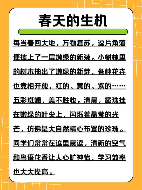 校园寻美录txt：探寻校园温馨瞬间，领略自然风光与人文气息