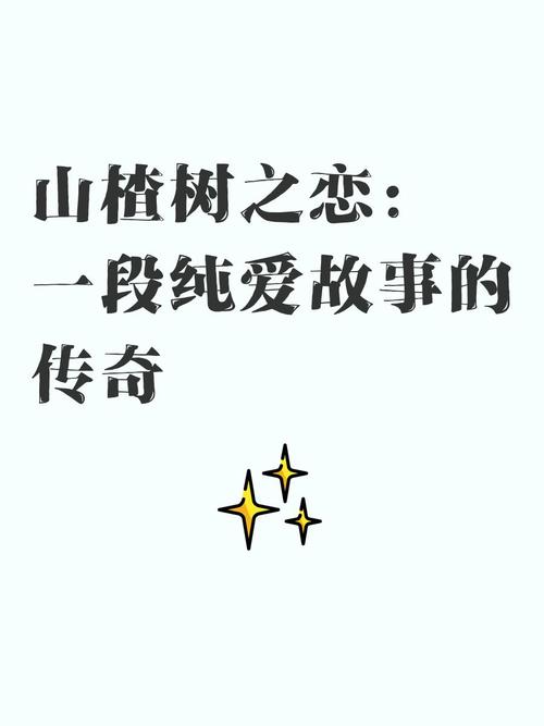 山楂树之恋下载受关注！数字图书网站获取方式要留意？