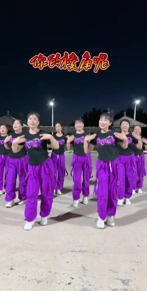 高原蓝广场舞_广场舞高原蓝的口令教学_高原蓝广场舞视频分解