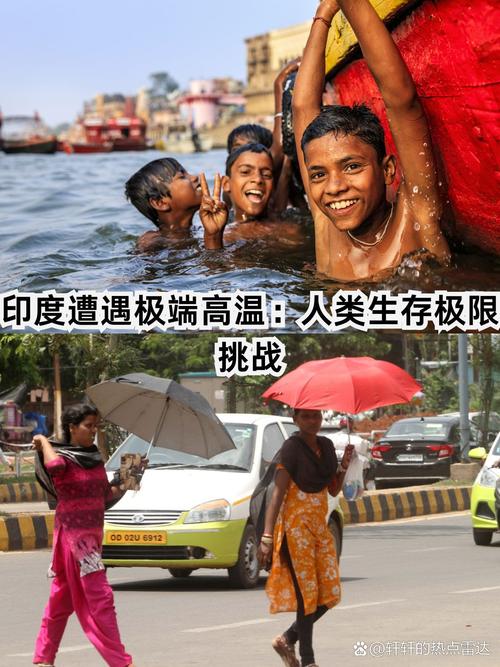 林淏泽黑暗料理死亡调教_调教是个啥_死亡调教