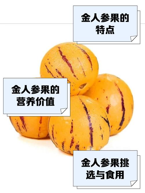 人参果非常特殊_超级人参果多少钱_百度一下人参果