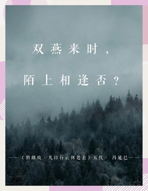 有情燕作者_有情燕_有情燕萧人凤