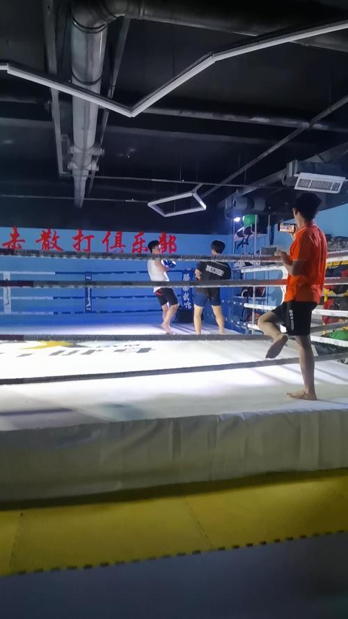 散打男孩子有必要学吗_散打男女对决_男散打
