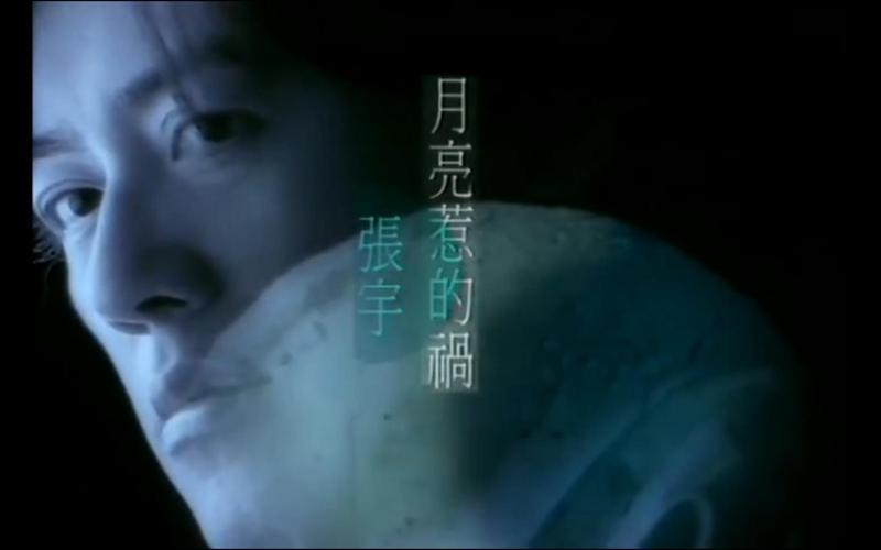 月亮惹的祸歌词_惹祸歌词月亮是谁唱的_月亮惹的祸歌词含义