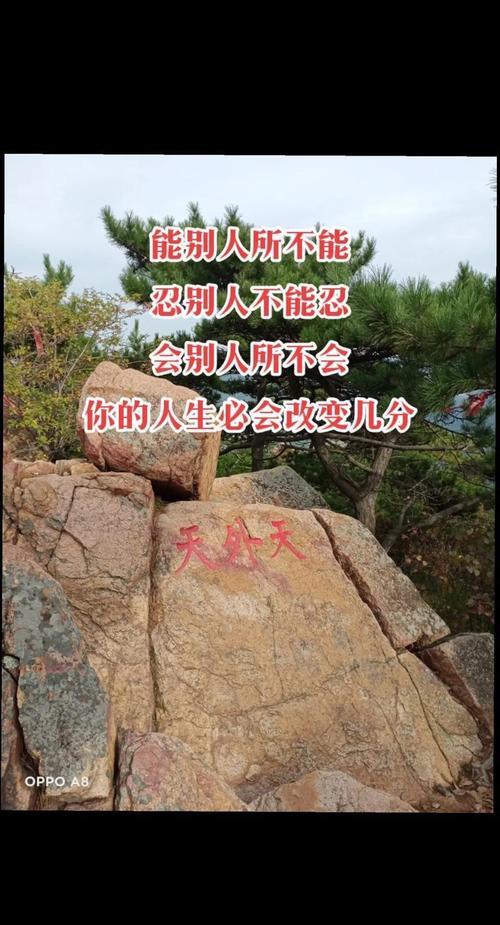 傲世如风_傲世如风小说_傲世如风梦幽静