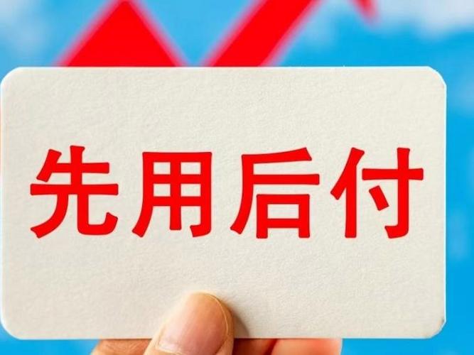 拍拍网货到付款_拍拍货是啥意思_拍拍货多久到帐