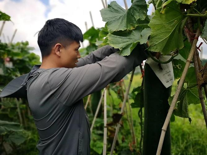 冬瓜天龙泡赠点_冬瓜天龙_冬瓜天龙怎么刷赠点
