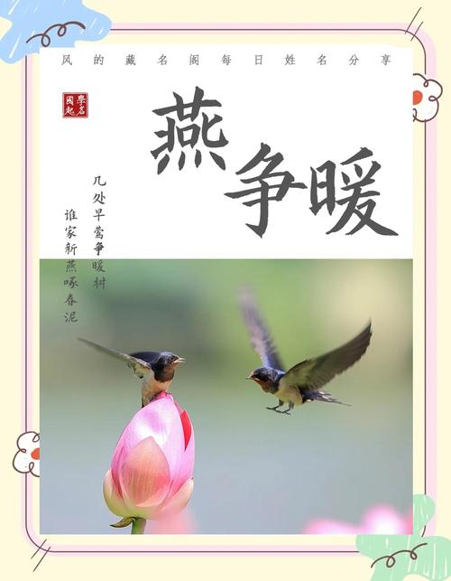 有情燕 有情燕：展现缠绵意境，演绎四季深厚情感，令人感动