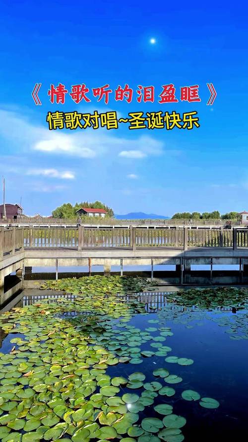 圣诞歌曲简谱_圣诞之歌_圣诞歌曲铃儿响叮当