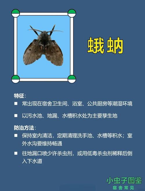 赤血鬼影虫和毁灭之本能_赤血鬼影虫_赤血鬼加点