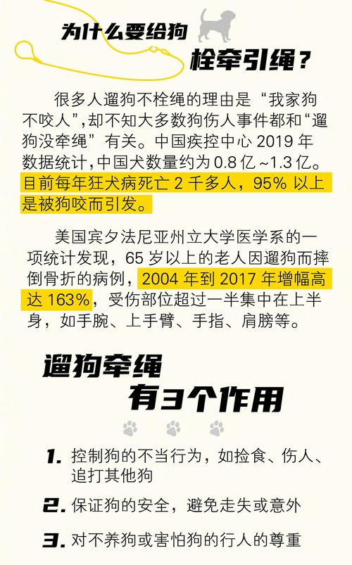 现代社会的宠神现象：过度宠爱宠物的背后，隐藏着哪些问题？
