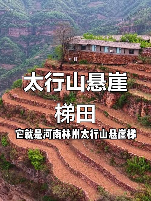 天脊_脊天髓_脊天牛