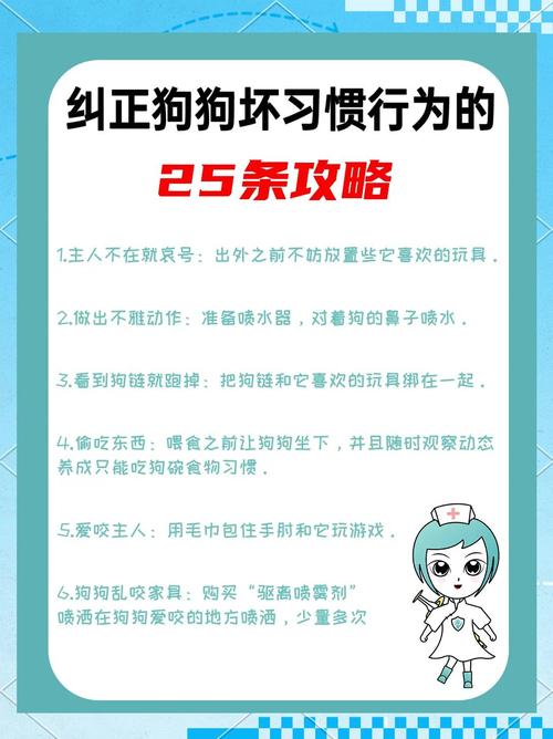 乖乖狗童鞋_乖乖狗什么意思_乖乖狗