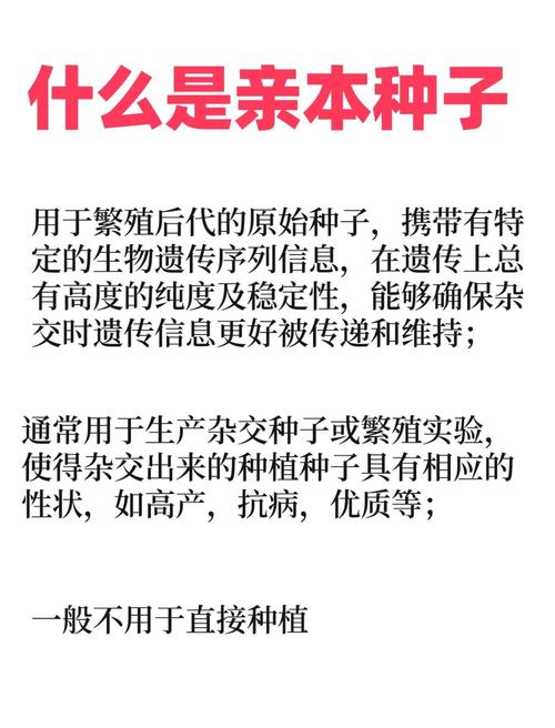 万能神器种子大全_万能种子下载手机版_万能种子神器