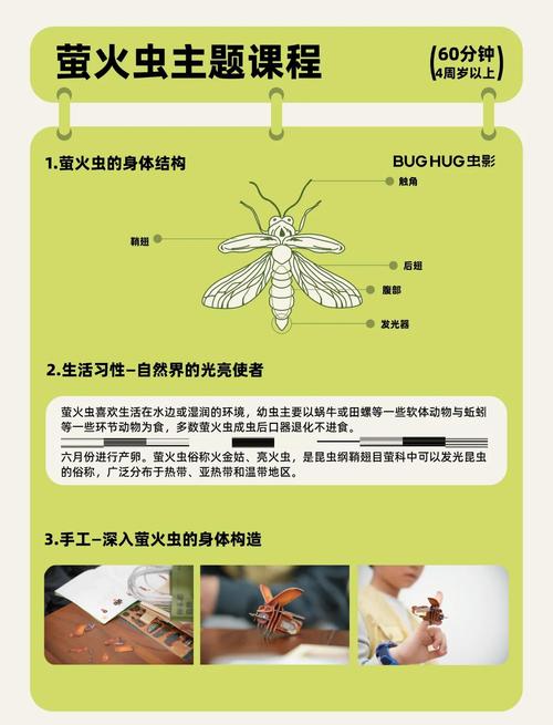 探秘赤血鬼影虫：独特生理特征、行为模式及应对经验分享