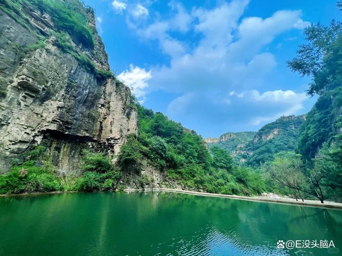 脊天牛_脊天髓_天脊