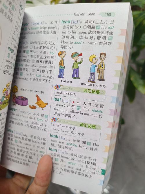 百度词典：英汉互译好帮手，专业释义与例句库却有短板？