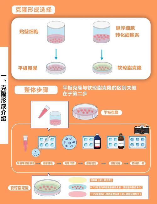 空间克隆器技术：重现物体或空间状态，背后风险几何？