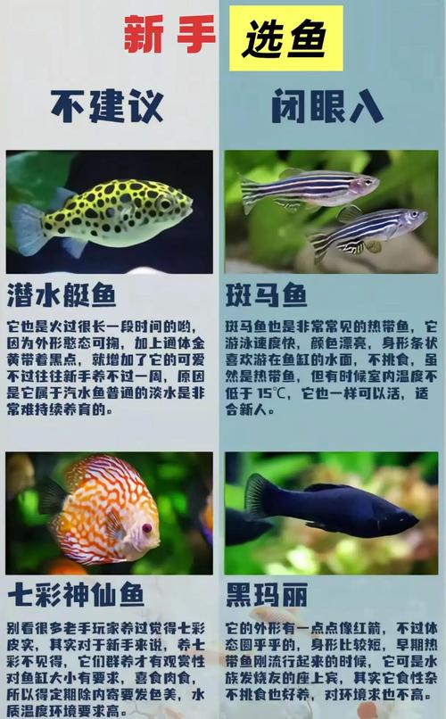 热带鱼交流群_热带鱼论坛有哪些_热带鱼论坛
