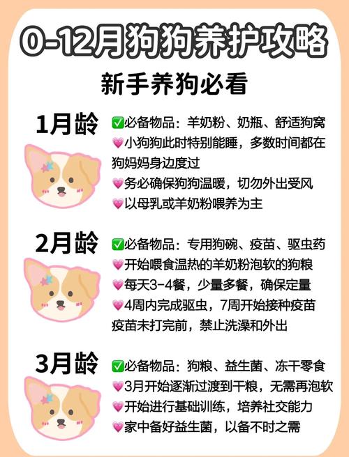 乖乖狗_乖乖狗童鞋_乖乖狗什么意思