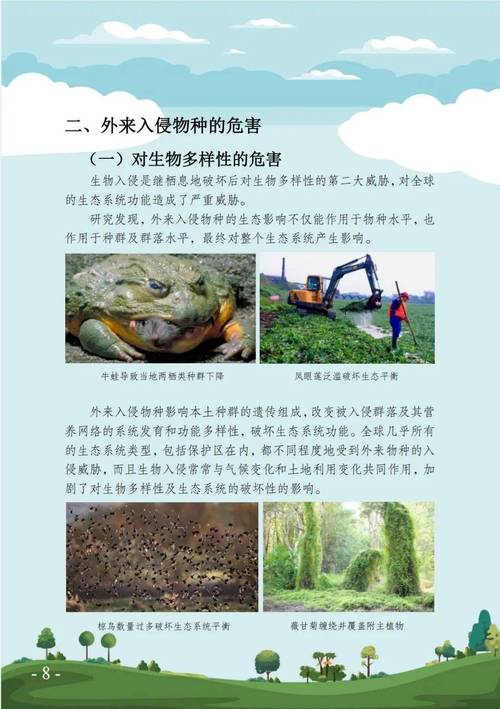 白鬼的威胁交任务_魔兽世界白鬼的威胁任务_白鬼的威胁