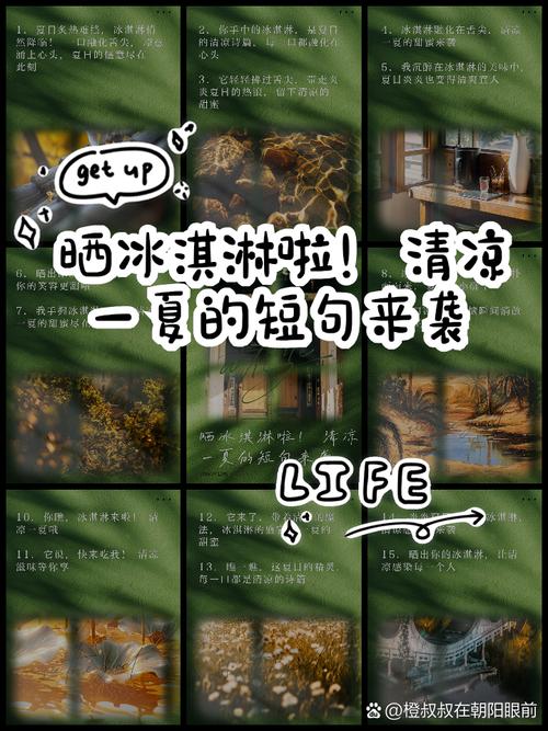 傻瓜之谜任务攻略_傻瓜之谜任务位置_我的小傻瓜支线任务