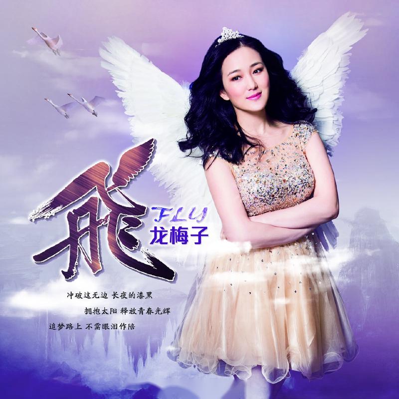 龙梅子飞呀飞：唱出对自由的渴望，触动普通人内心