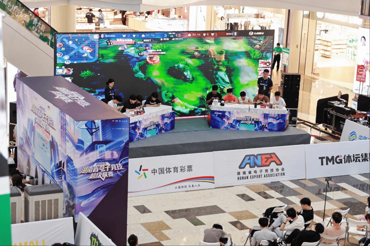 2013g联赛 2013年G联赛：见证电竞成长，推动行业商业化探索
