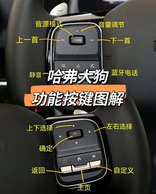 电子狗升级工具_如何升级电子狗模块_电子狗升级