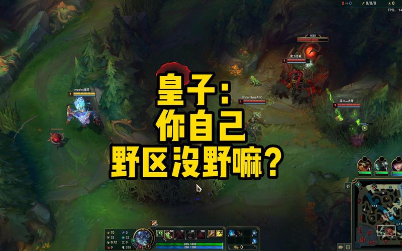 德玛西亚皇子打野_皇子西亚打野德玛怎么样_德玛西亚皇子打野思路