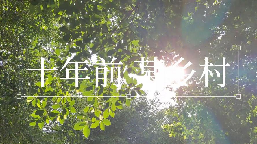 q讯家园主页_q迅家园_qq讯家园