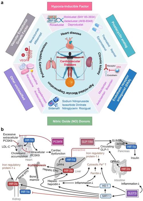 天罗地网罗是什么意思_《天罗地网》_天罗地网